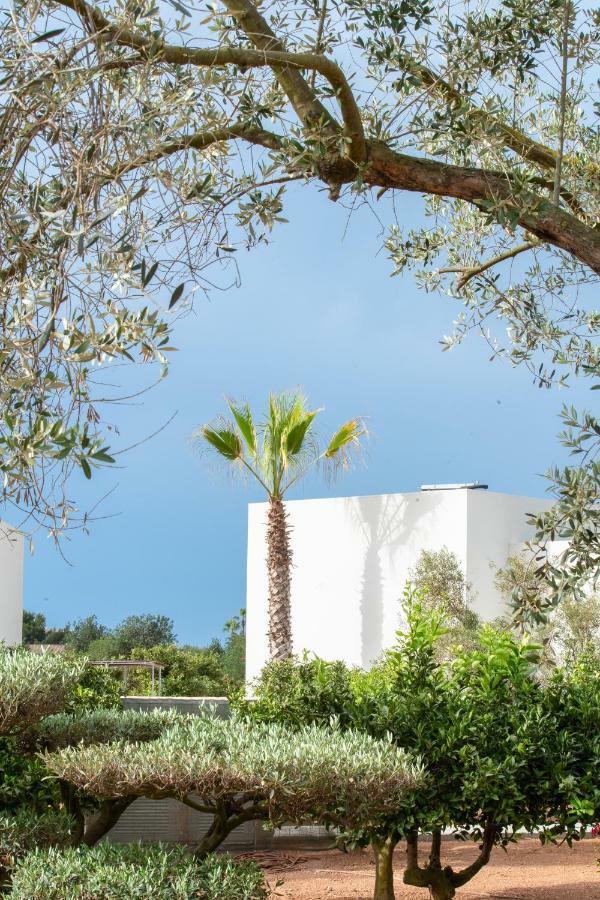 Jaume Private By Ocean Drive Puig D'en Valls